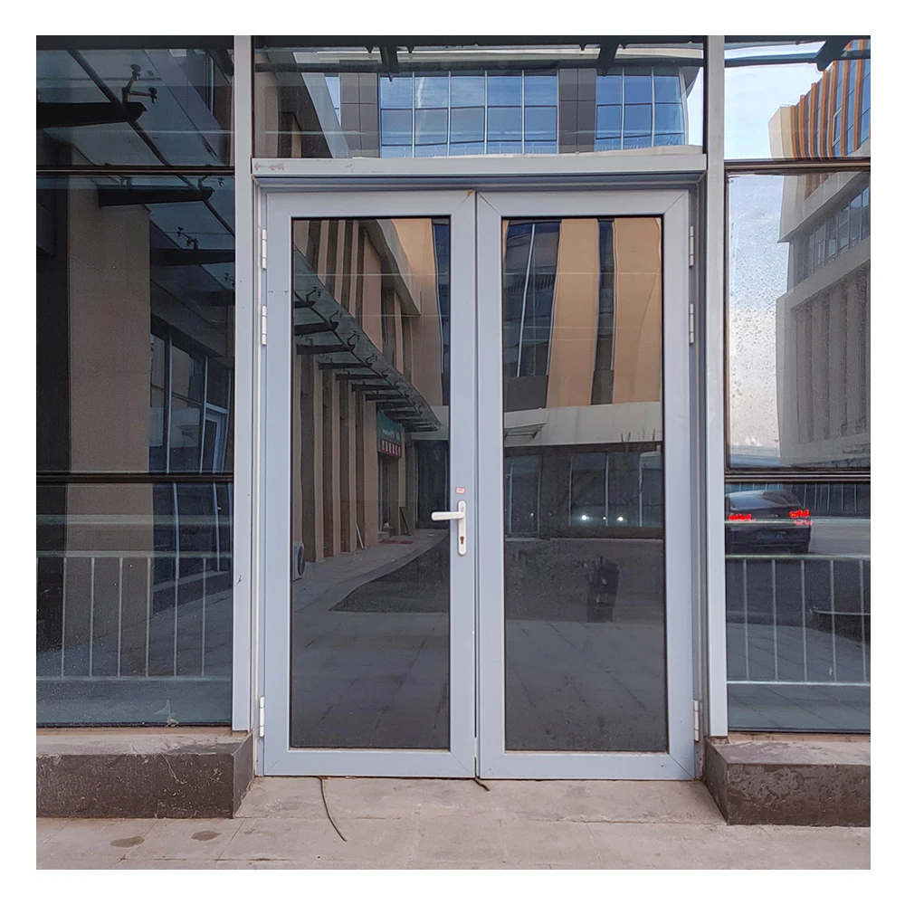 European Standard Interior Main Door Design Galvanized Steel Windows Modern Iron Frame French Doors