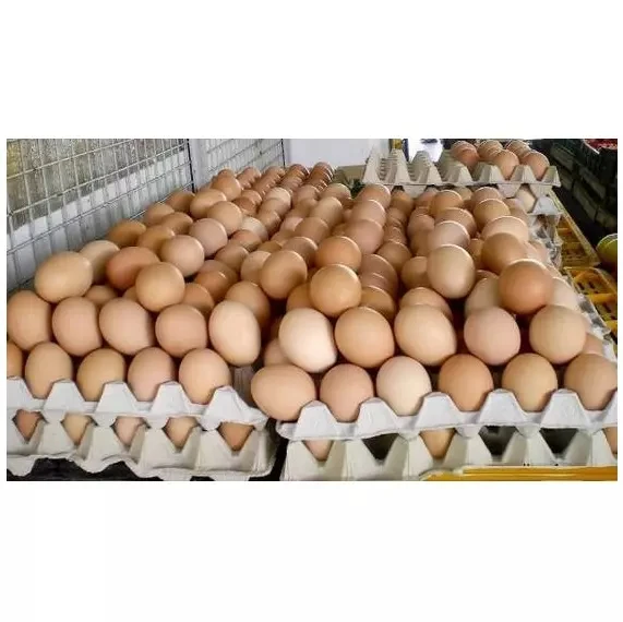 Свежие куриные яйца для фермы, коричневые и белые куриные яйца из ракушек