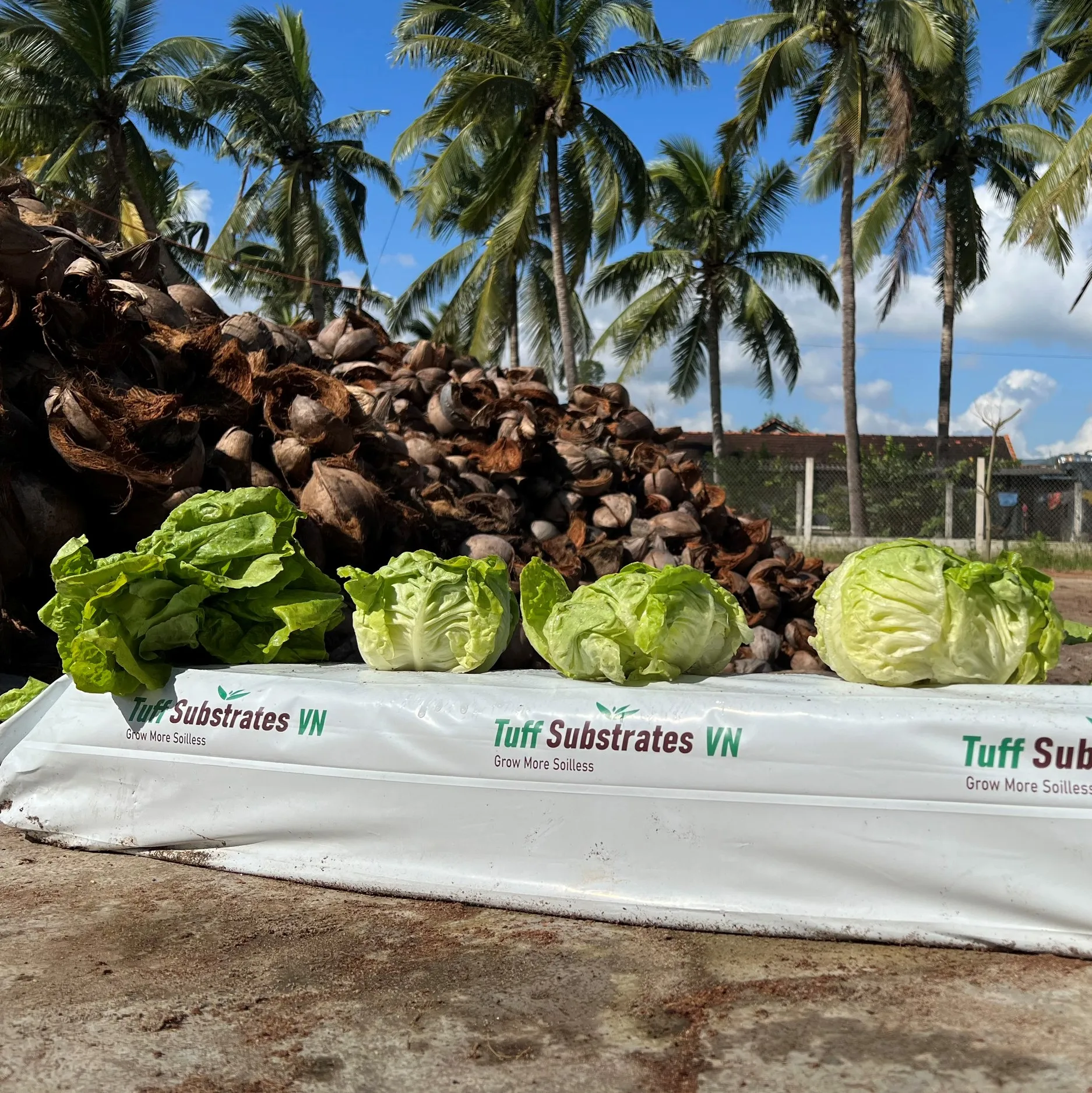 Cocopeat Gow Bag 28L Tuff Viet Nam Is Suitable For All Low EC Crops Hot Sales wholesale pith coir with grow more