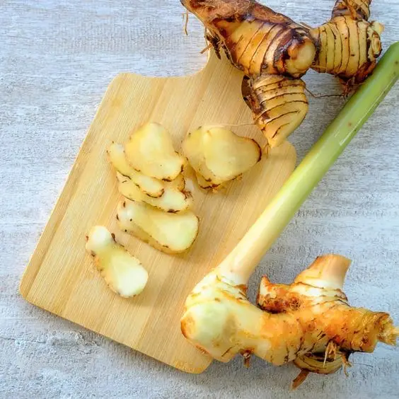 Fresh Galangal From Thailand hight quality Export Grade