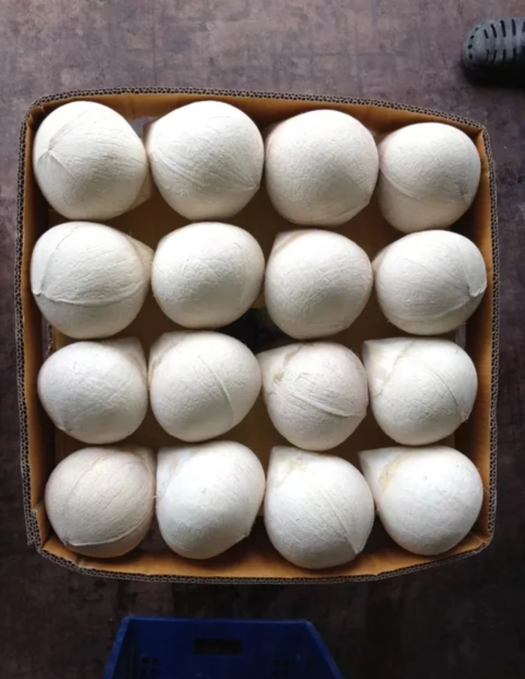 Premium Fresh Young Coconut 9 Pieces per Carton From Thailand Wholesale OEM High Quality Export Grade