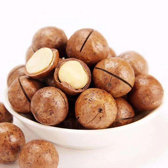 Buy Quality Macadamia Nuts with Shell Raw Salted Roasted Maca Powder Healthy Food in