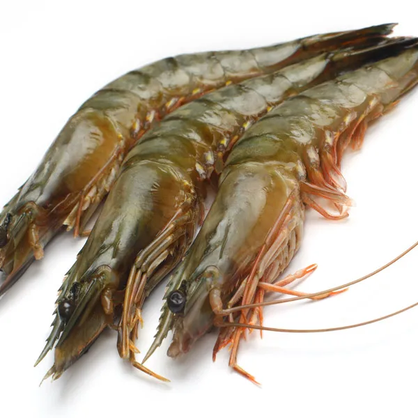 Hot Sale vannamei shrimps and black tiger shrimps/High Quality Frozen Black Tiger Shrimp prawns sea food