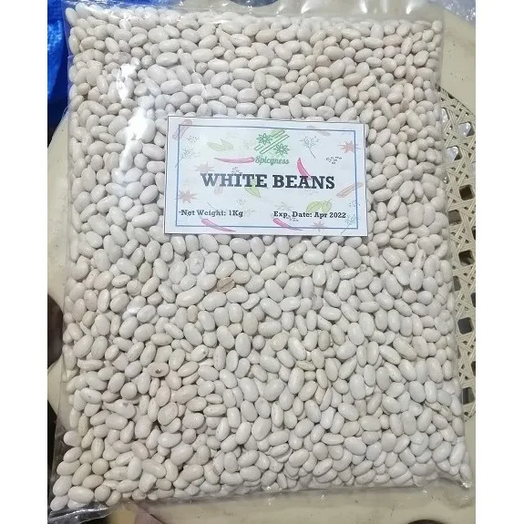 Organic white kidney beans for sale white kidney beans available  white beans for wholesale