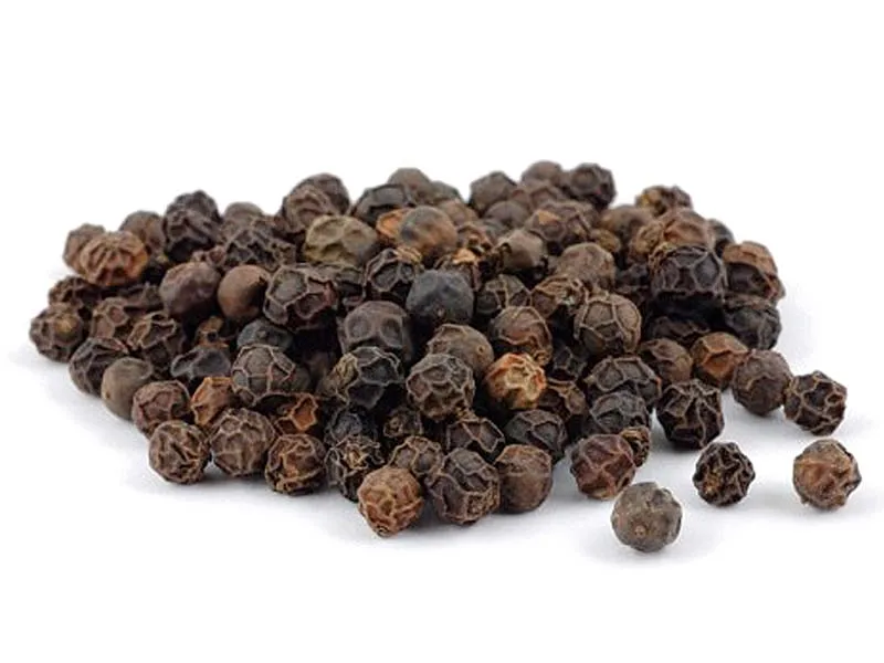 Wholesale price 100% natural pure single spice rich fragrance black pepper dried seasoning spice black pepper spice low rates
