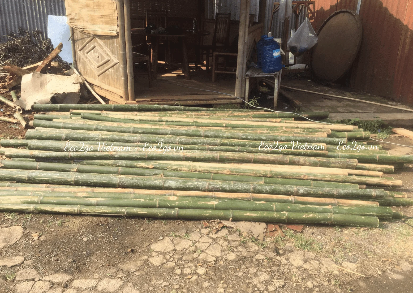 Good Price And High Quality Bamboo Stakes Canes/ Bamboo Stakes Made In Vietnam By Eco2go Vietnam