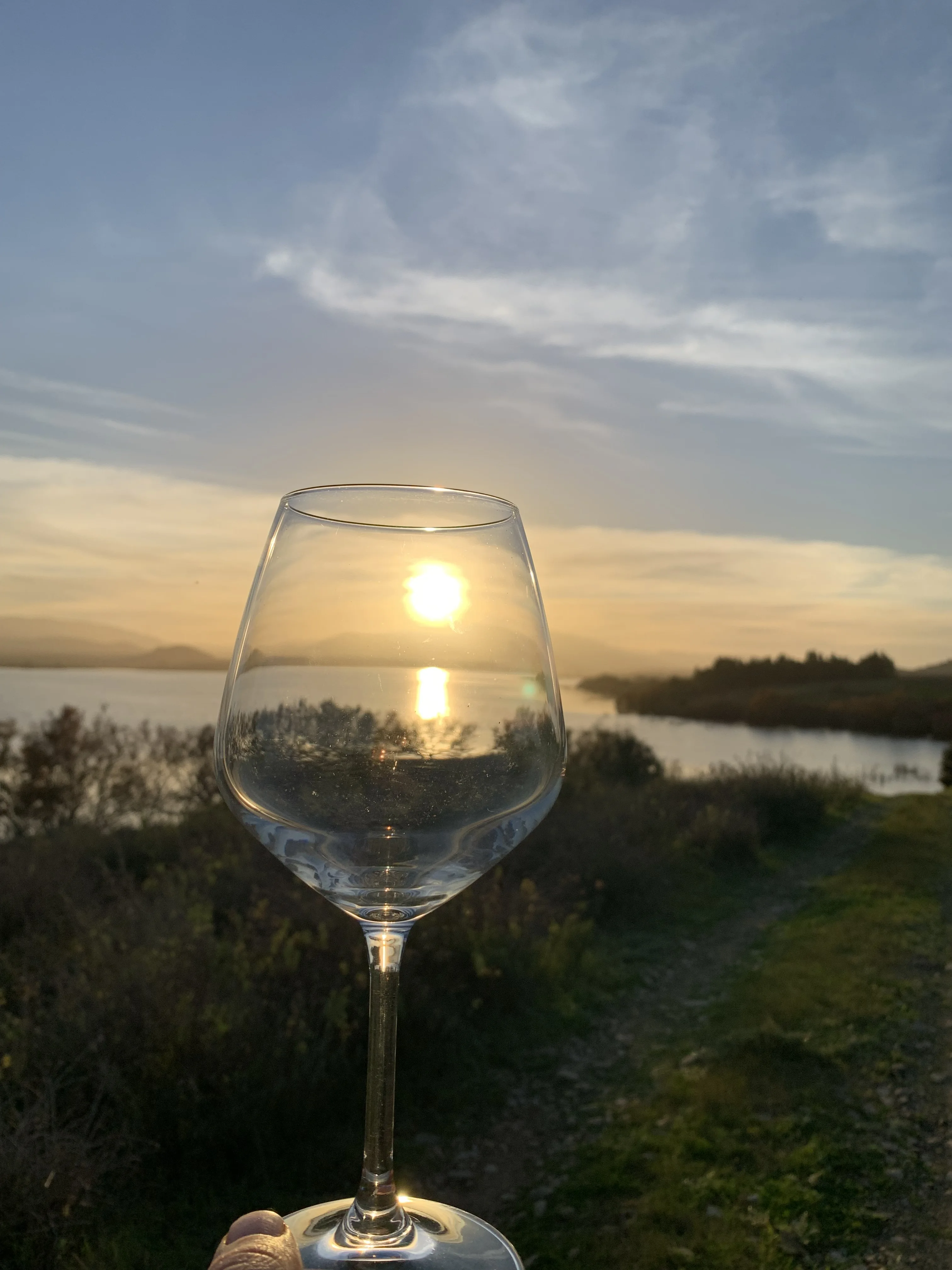 Best sell made in Italy Intense wine 750ml glass bottle type good DOC medium Red Wine wine table