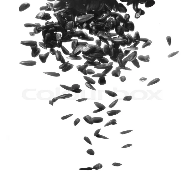 Factory Supply Sunflower Seed Protein 65%