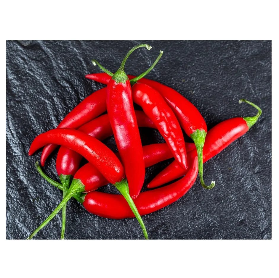 Chili Pepper/ Red chili with best prices