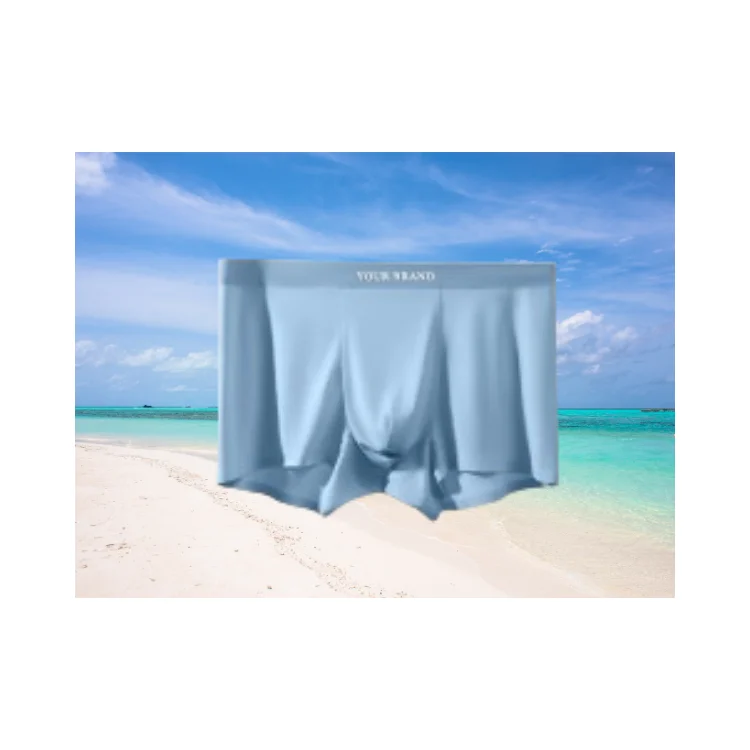 Underwear Men Fast Delivery Seamless For Men Akyoo Brand Ready To Export Made In Vietnam Manufacturer