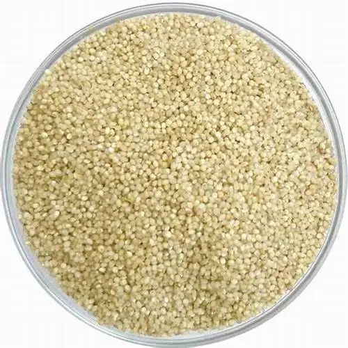 Red And White Sorghum For Sale / Sorghum Flour White / Sorghum Grains best prices available in bulk quantity