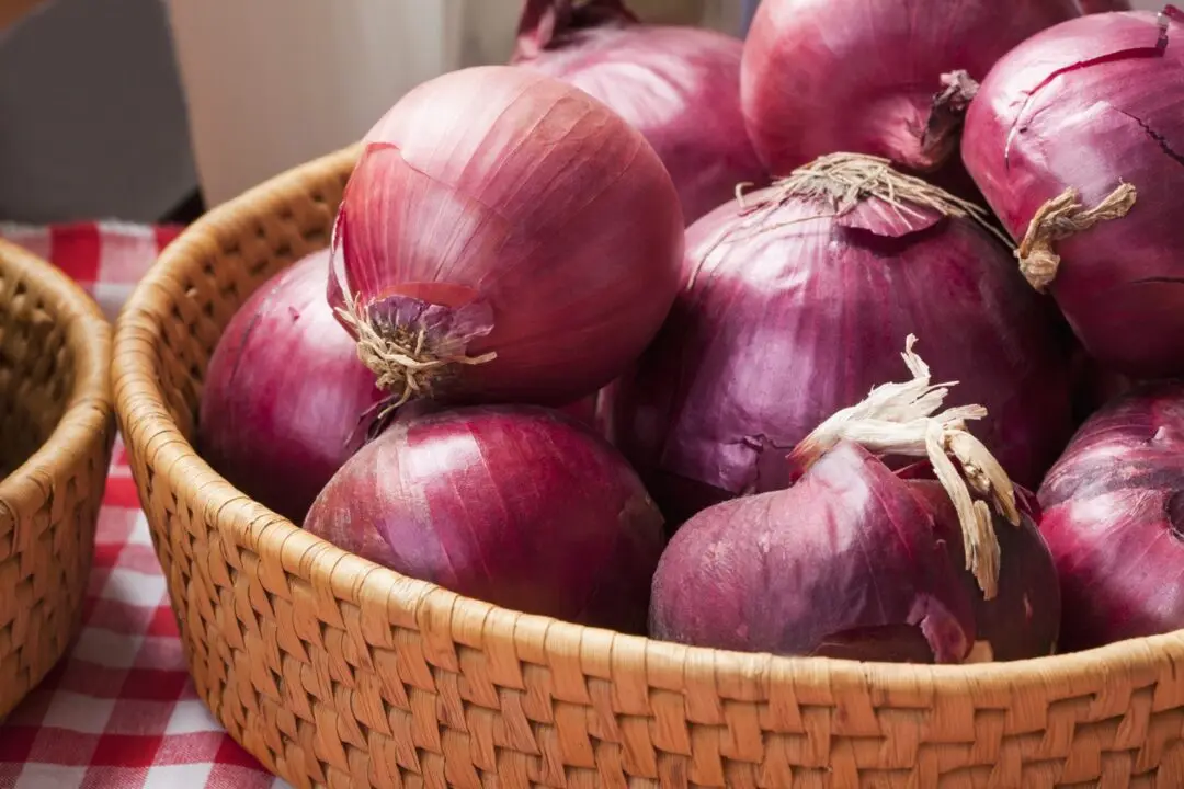 We are selling fresh red onion at very low price along with customized logo and customer packing