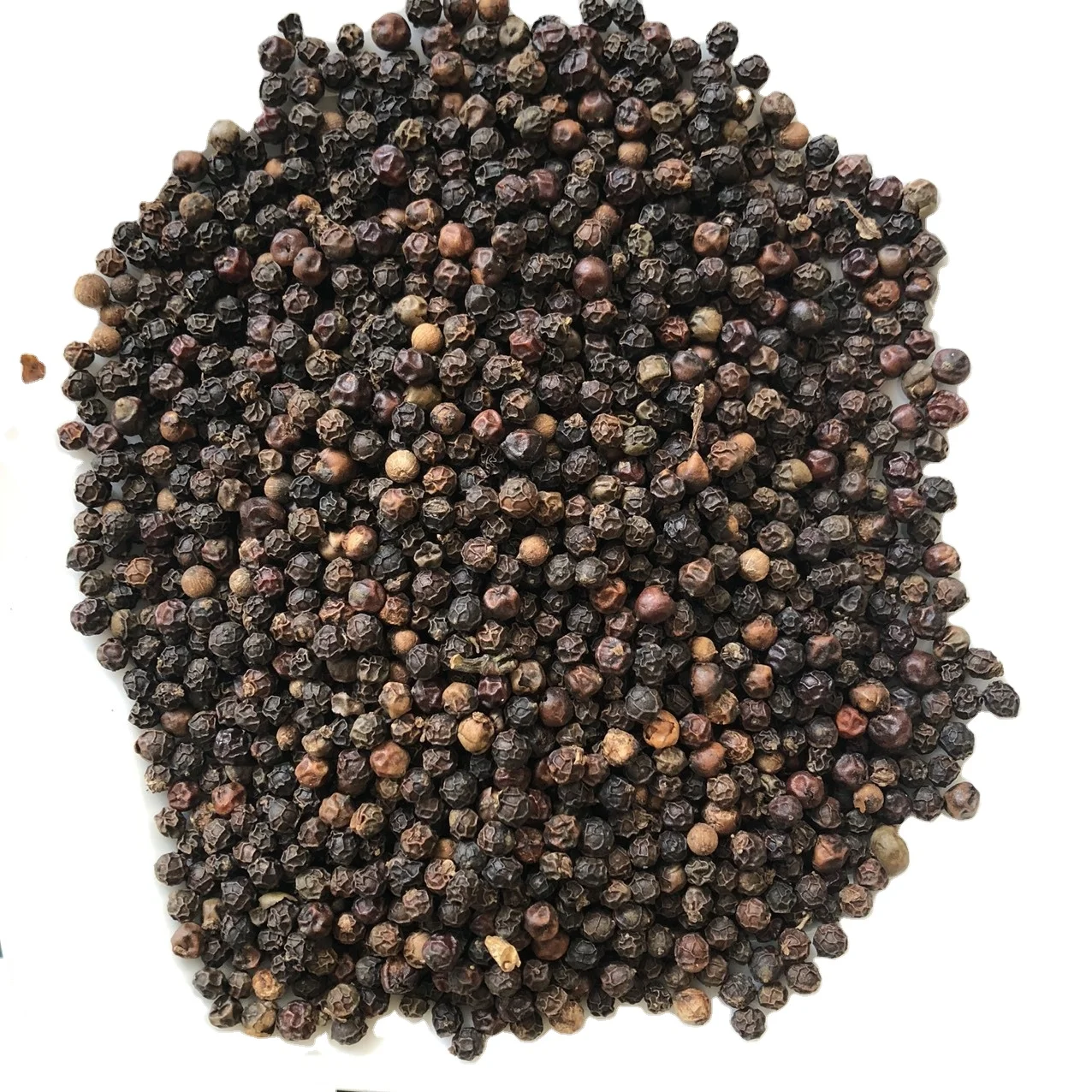 Latest Price Black Pepper - Ready to Export to Malaysia - High Quality Factory Price Black Pepper From Vietnam