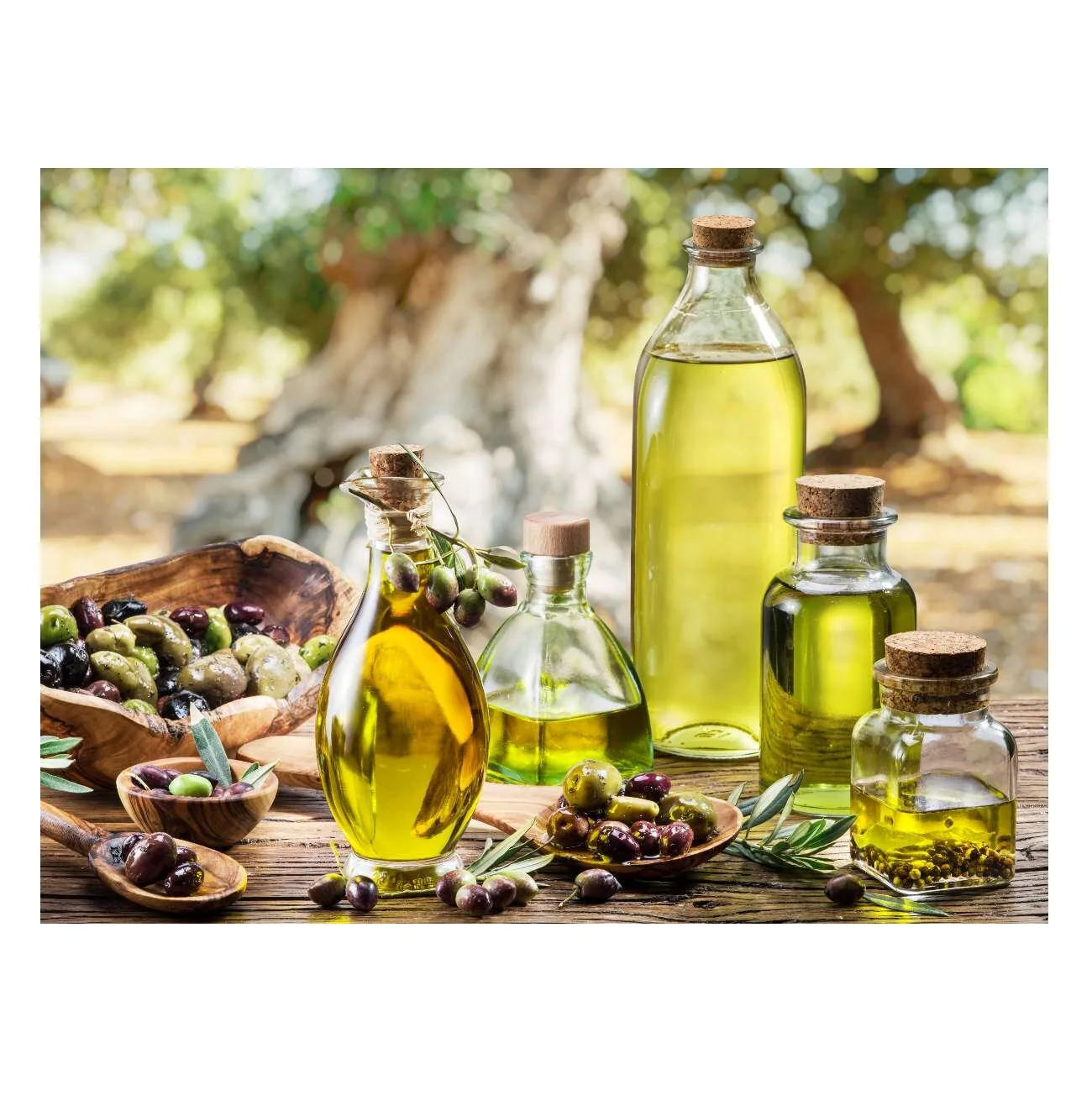 100% Pure Natural Quality Cold Pressed 100% Pure Organic Natural Cooking Extra Virgin Olive Oil at Best Wholesale Pricing