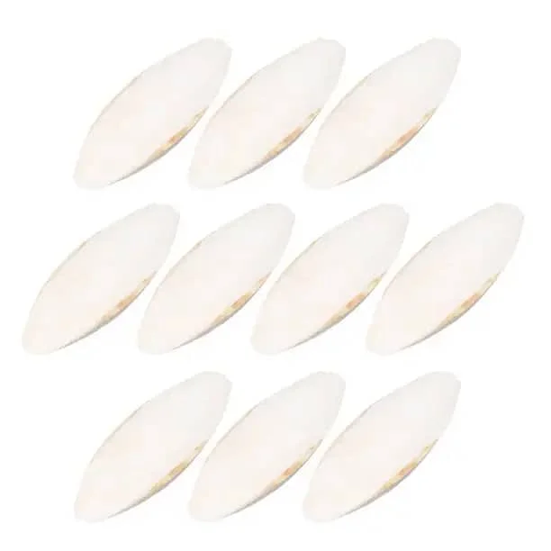 TOP QUALITY CUTTLE FISH BONE FOR SALE.