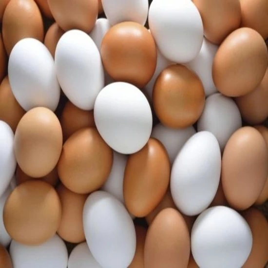 Wholesale cheap White and Brown Chicken Eggs For Sale/Fresh White Brown Table Chicken Eggs