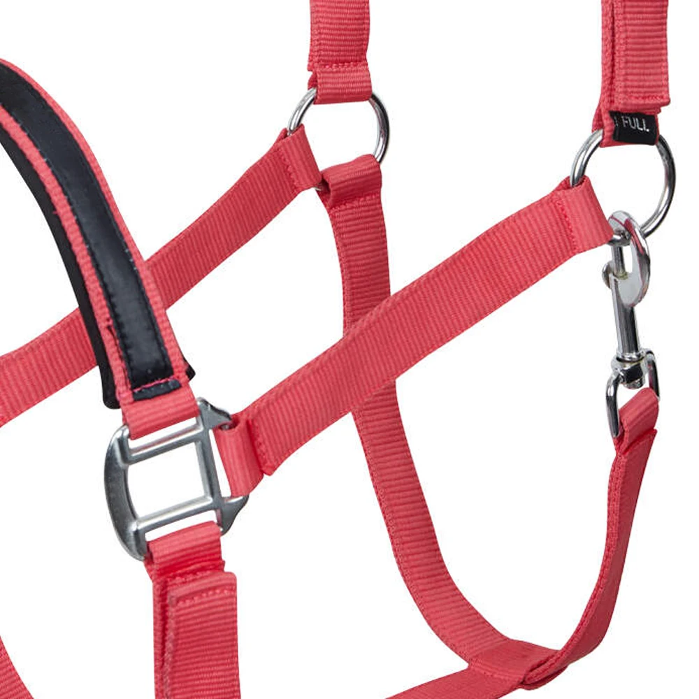 Nylon Top Quality Custom Horse Halter, Adjustable & Durable Halter wholesale