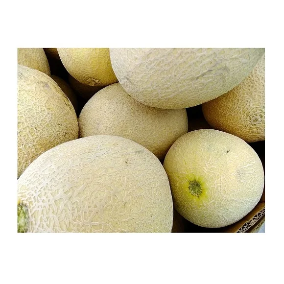 Высококачественные свежие фрукты педоны для продажи по лучшей цене