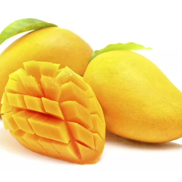 Fresh mango Ripe or young mango Green or yellow organe mango Fresh fruit Tropical fruit Made in Vietnam