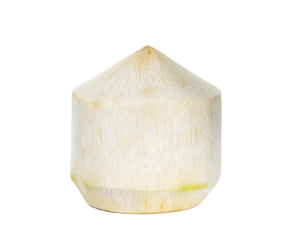 CUSTOMIZED BRAND NO HUSK COCONUT CHEAP PRICE AND QUICK RESPONSE WITH HIGH QUALITY AND CAREFULLY PACKAGED