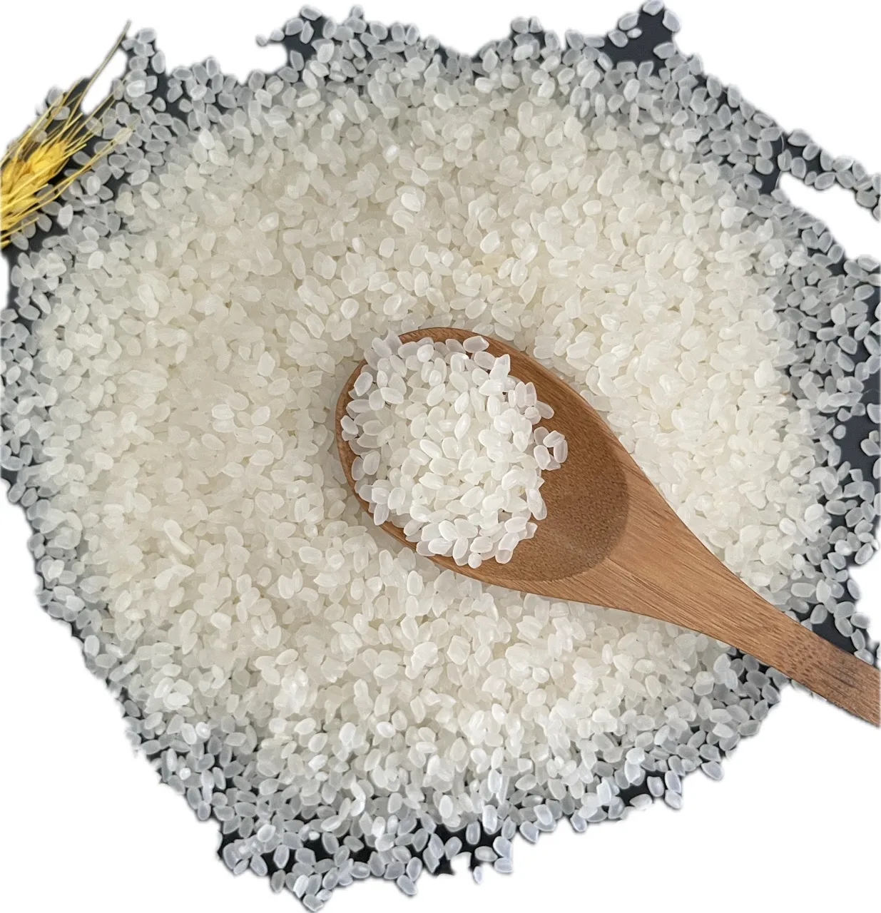 JAPONICA RICE 5% BROKEN (SUSHI RICE ) SHORT ROUND GRAIN RICE FROM VIETNAM , GOOD QUALITY, & PRICE  - ANNA DO W/A +84982153058