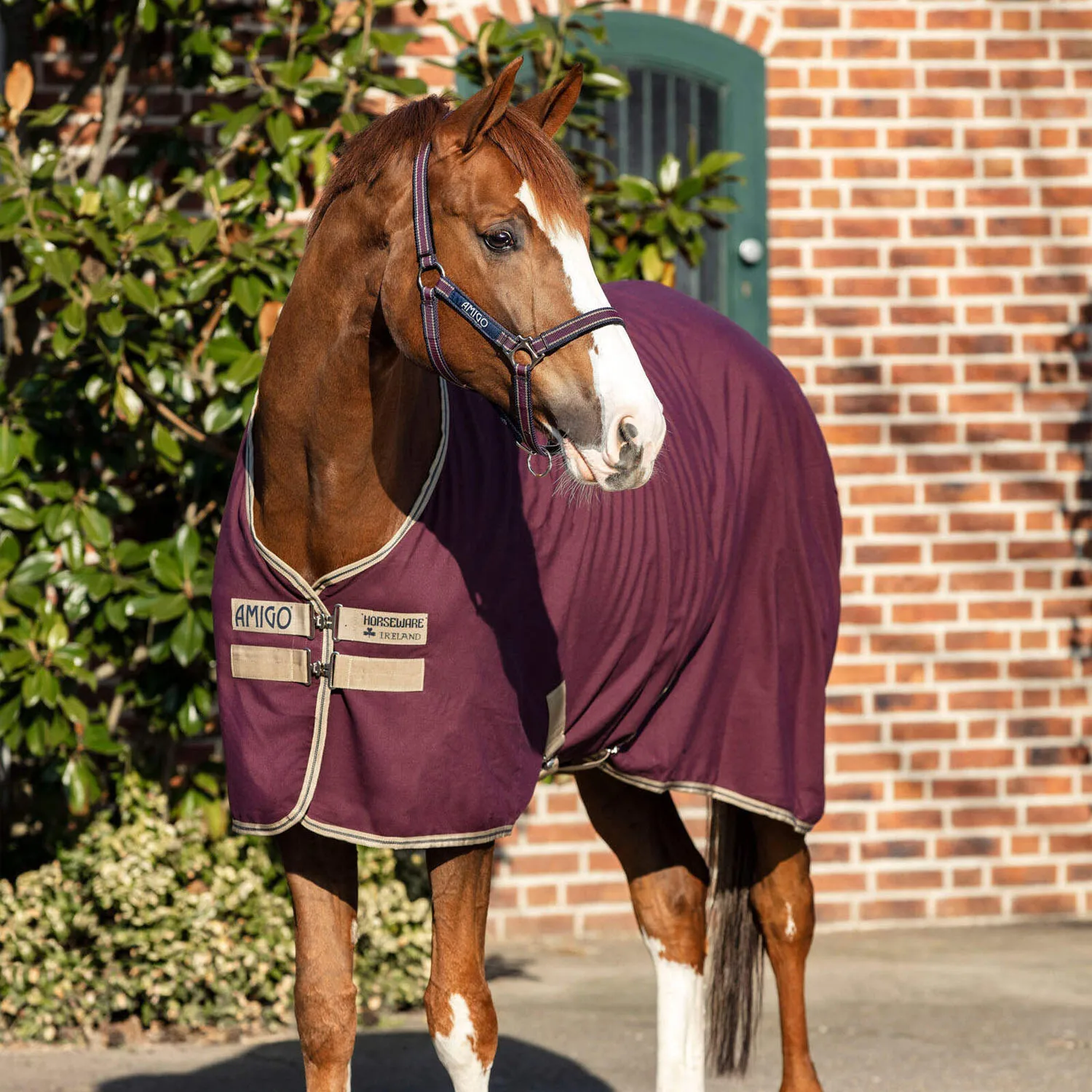 Design High Quality Equestrian Waterproof Breathable Horse Rug Horse blanket