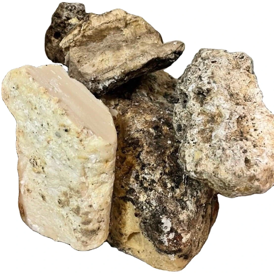 Floating Gold Ambergris Whale Vomit Wholesale Supplier | Shop Online The Treasure Of The Sea