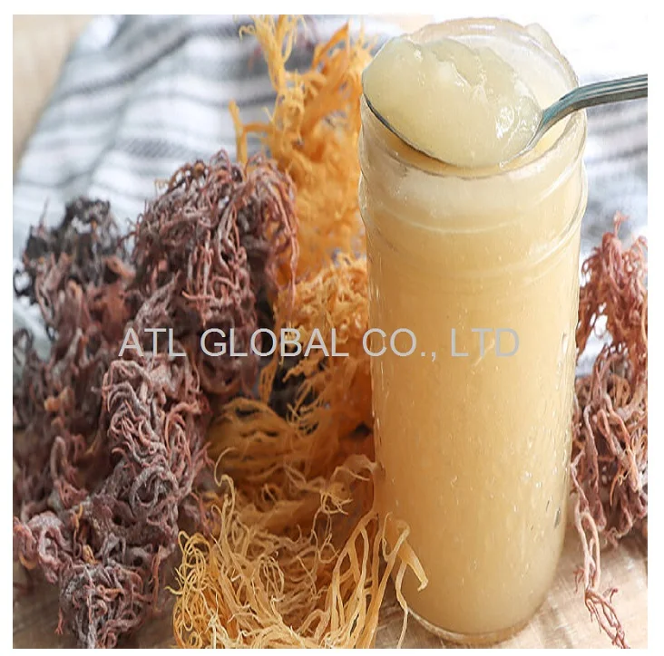 Sea moss gel wildcrafted raw superfood Irish moss/seamoss eucheuma cottonii  seamoss raw organic dried sea moss dried seaweed