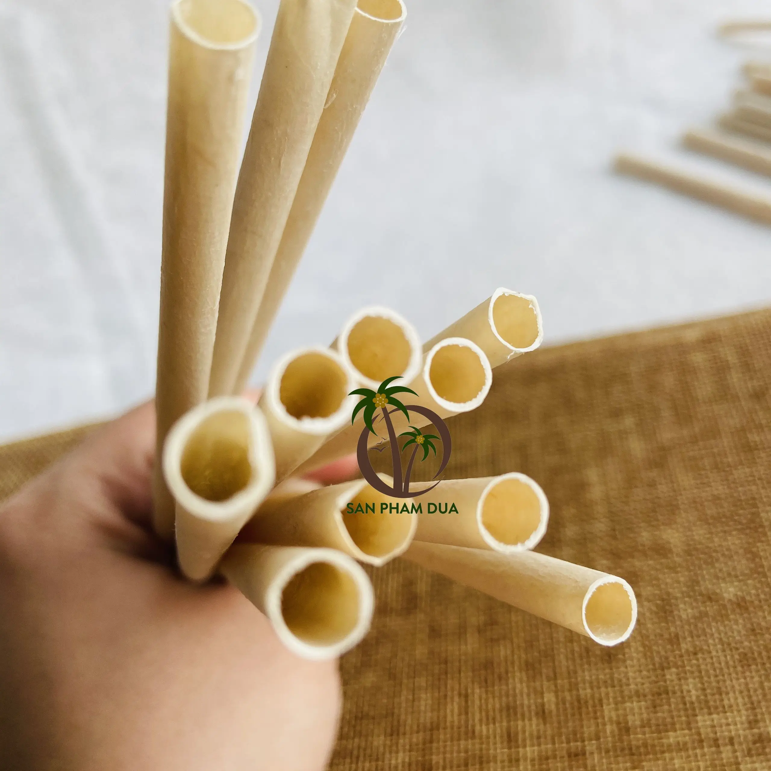 DISPOSABLE COCONUT STRAWS WHOLESALE NATURAL STRAWS FOR DRINKING. STRAWS COCONUT MADE IN VIETNAM