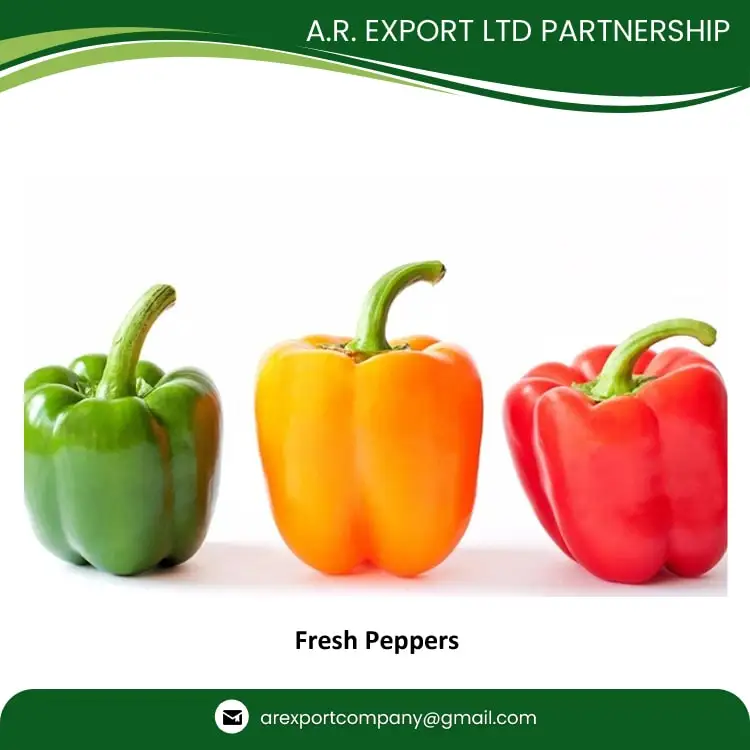Exporting Highest Quality Wholesale Selling Fresh Bell Peppers for Genuine Wholesale Purchasers