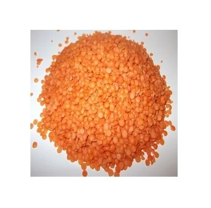 Wholesale Price Organic Canadian Red Lentils / Split Red Lentils Bulk Stock Available For Sale