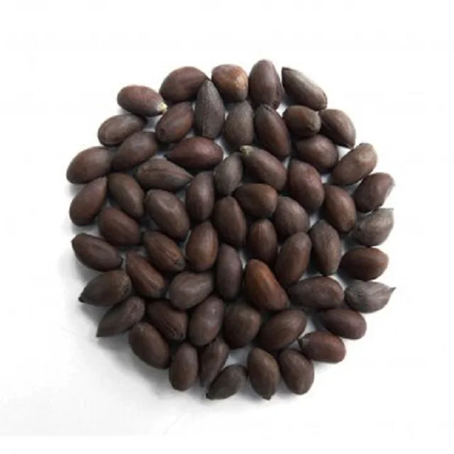 Hot sales price Cotton Seed