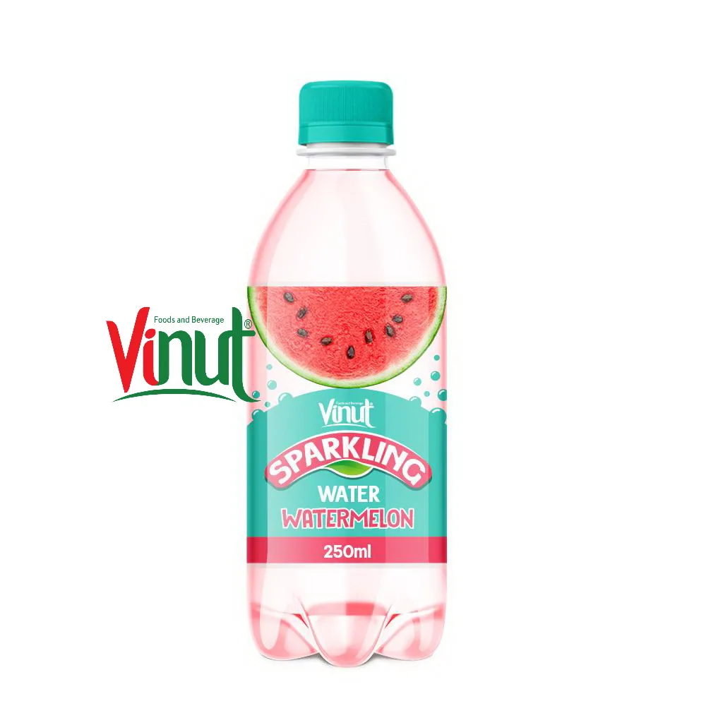 Best Manufacturer Supplier from Vietnam 250ml VINUT Bottle Watermelon Sparkling Water for health good taste from fruit