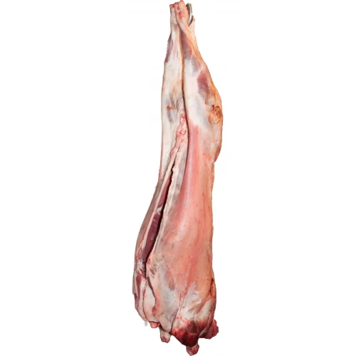 Meat ,frozen Sheep and Lamb ,frozen Halal Sheep Meat Box Packaging Body Top Grade AA Grade FROZEN with 18-24 Months Shelf Life