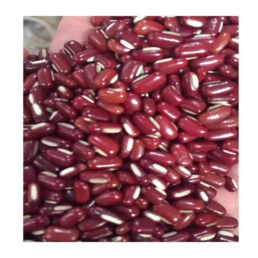 Premium Natural Pinto Kidney Beans High Quality Best Price Directly from Producers-White & Black Beans for Food Use