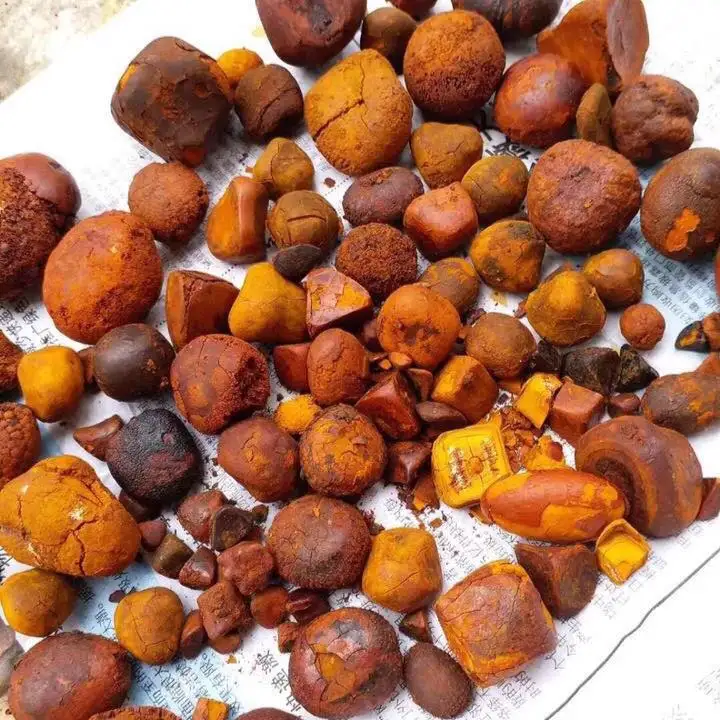 Quality Dried Cow Ox Gallstones / Cattle gallstones