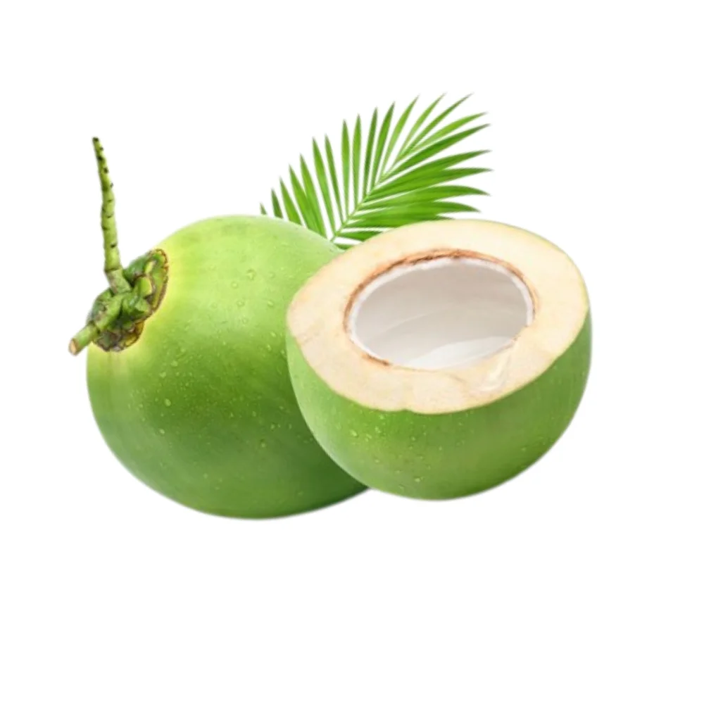 Premium Quality Fresh Young Coconut for Drinking and Cooking Wholesale from Viet Nam Manufacturer