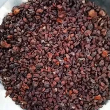 Bee Dana/ Pyruse Cydonia/ Quince Seed