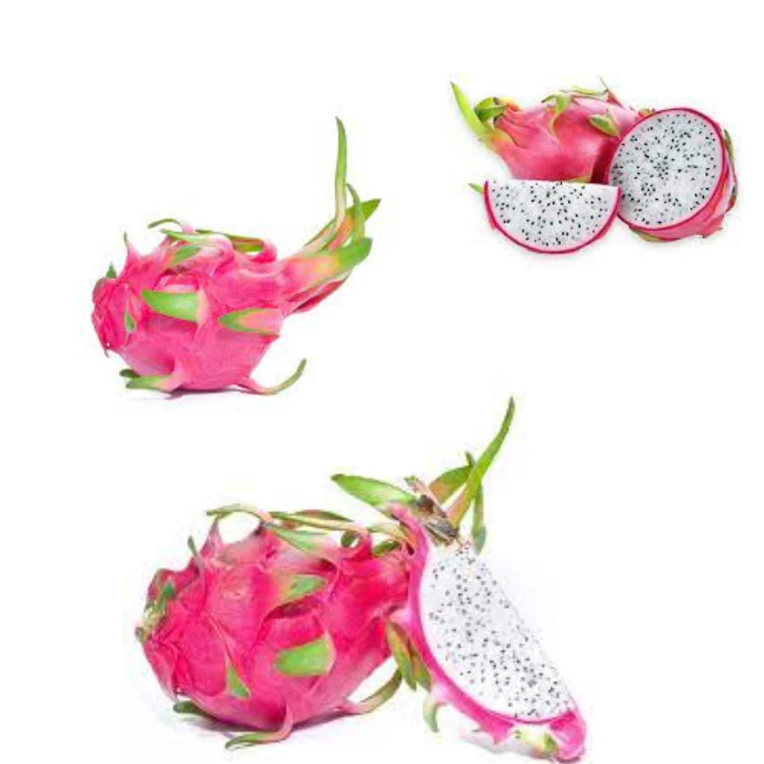 High Quality Pitaya Fruit  Keep Dry Or Refrigerated Organic White And Red Dragon Fruit Packed In Box Vietnam Manufacturer