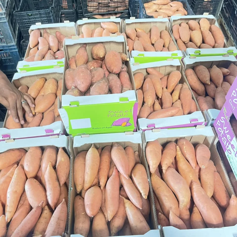 Свежий сладкий картофель из египта