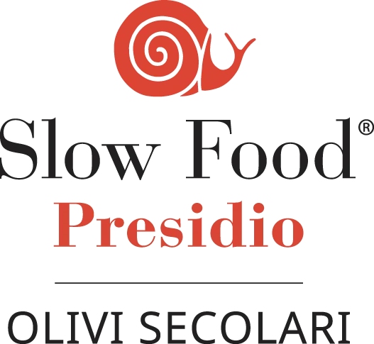 Italian green fresh olives Nocellara160g made in Italy  ho.re.ca wholesales