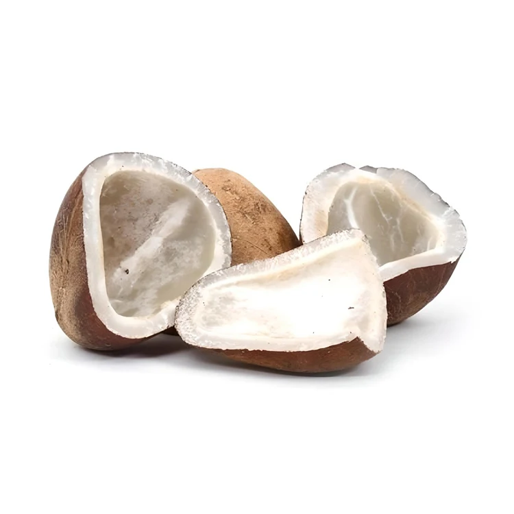 Good Quality Coconut Copra / Whole Dried Coconut