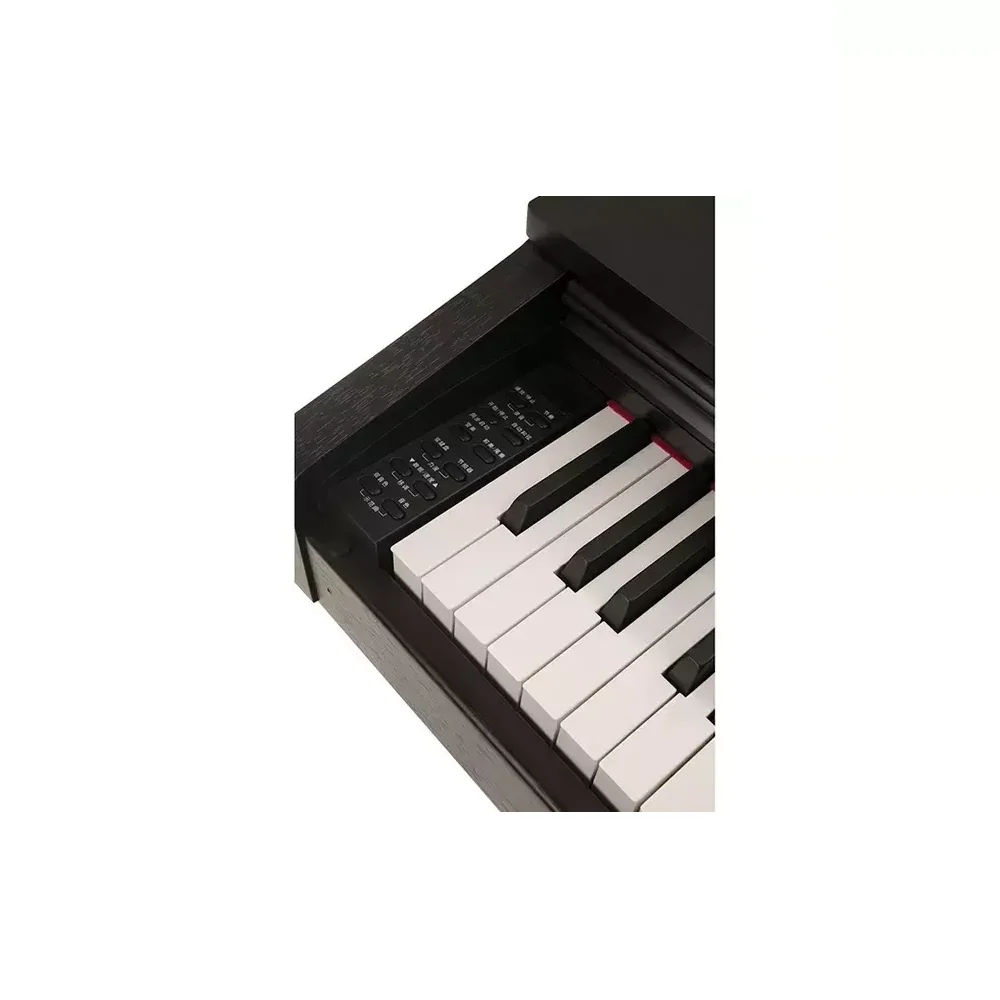 Effective Digital Beginner TMW 520 Musical Black Modern Style 88 Scaled Keys Color Instrument Multilayered Piano