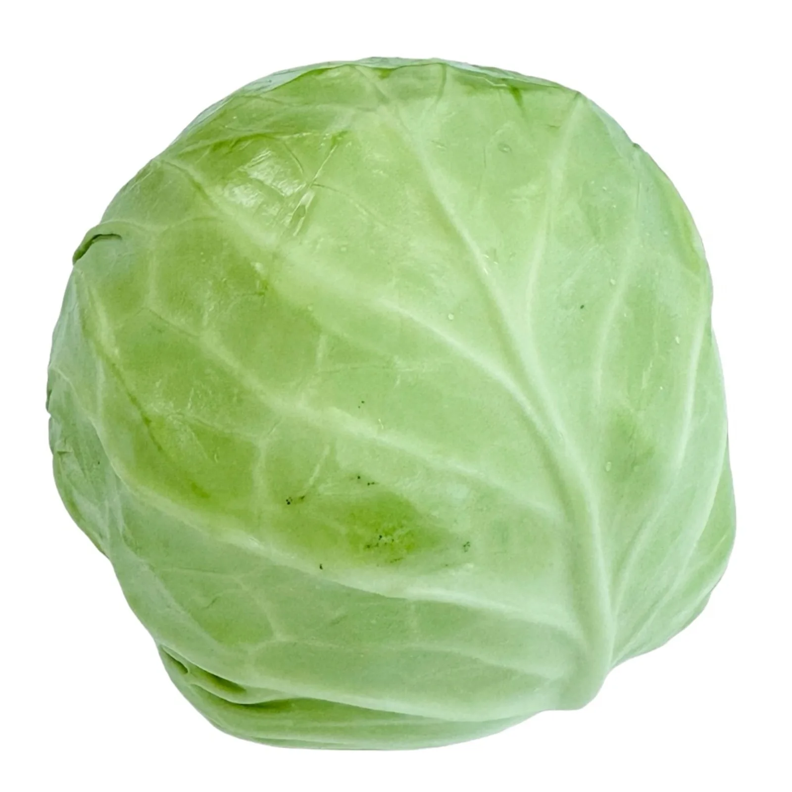 Online Buy / Order Top Quality Fresh Vegetable Green celery  Cabbage With Best Quality Best Price Exports fresh celery  cabbage