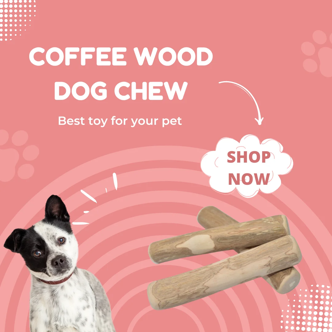 Expad Natural Coffee Wood Dog Chews Sustainable Pet Toy for Dental Health and Aggressive Chewers Boxed Packaging