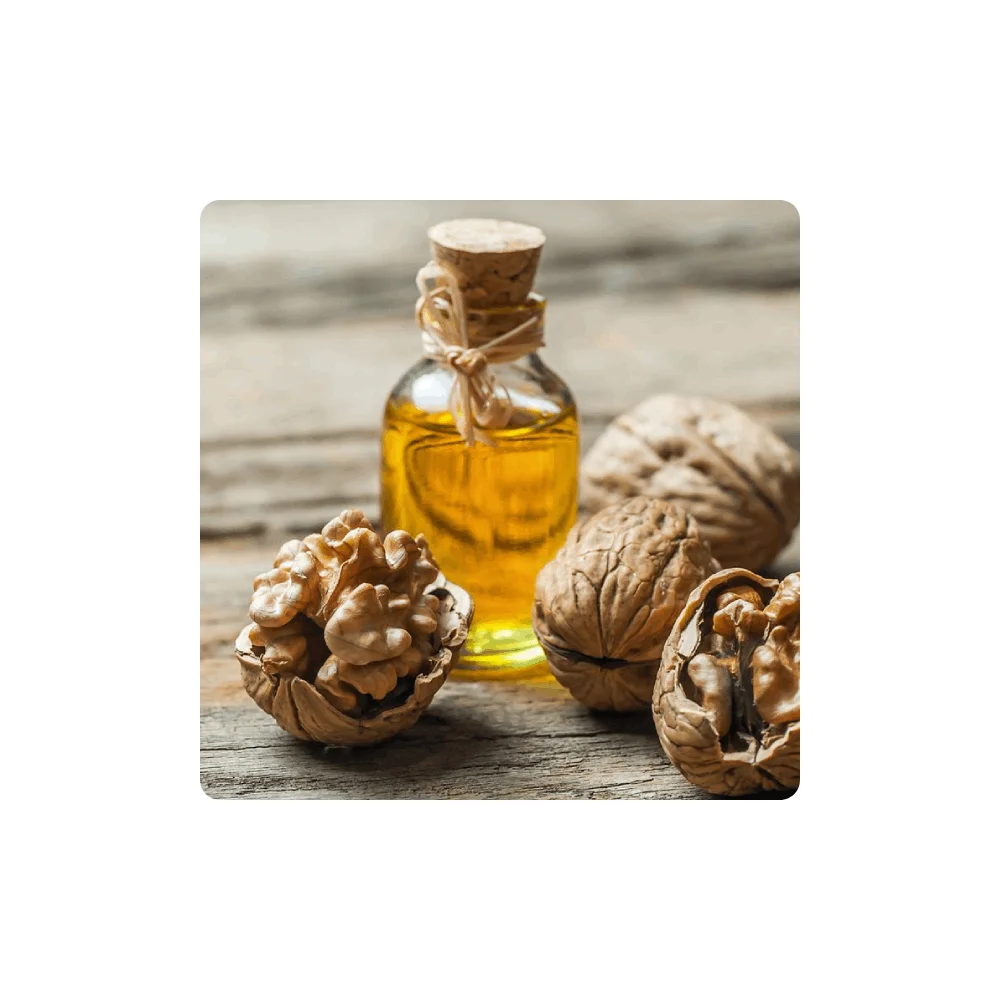 Top Quality of Walnut Oil with Excellent Quality 100% Pure Cold Pressed Edible Akhrot Ka Tel Walnut Oil