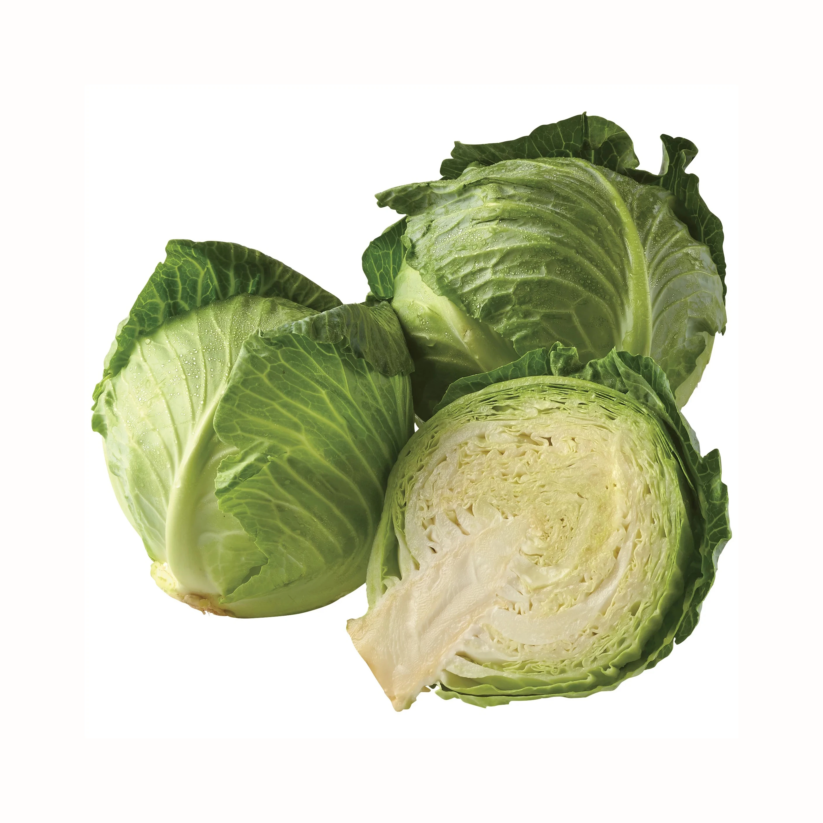 fresh cabbage fresh vegetables good quality cabbage wholesale with factory low price
