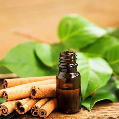 Huge Selling Of Cinnamon Oil From India at Factory Prices