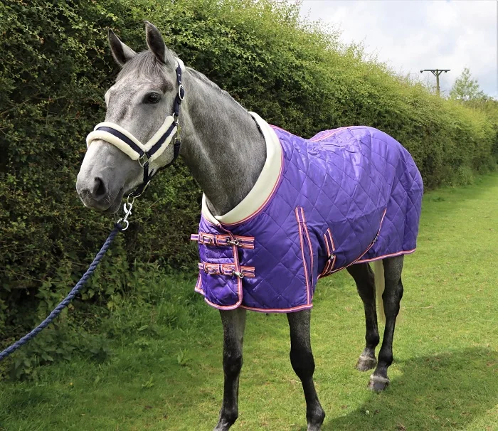 Soft Quality Nylon Lining Equipment Equine Breathable Stable Horse Turnout Blankets Rugs for Winter Most Comfortable for Horses