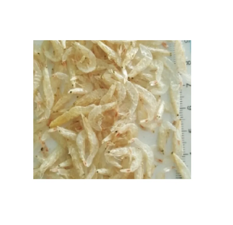 Wholesale Natural Raw Dried Baby Shrimp/DRIED BABY SHRIMP from Agenas co.ltd in Viet Nam RTS